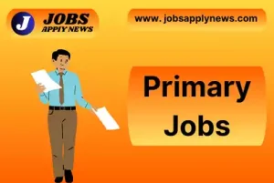 primary job application